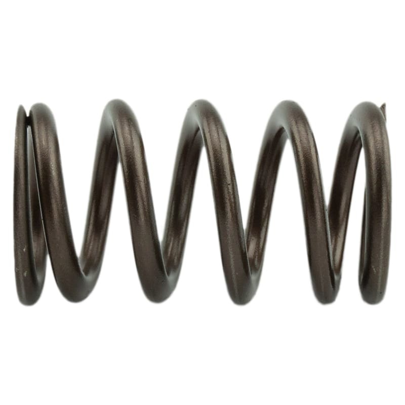 IND PDM Valve Springs