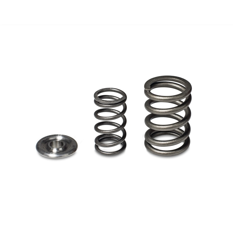 Skunk2 Alpha Series Honda/Acura H Series Valve Spring and Titanium Retainer Kit thumbnail 2