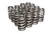 CCA Valve Spring Sets