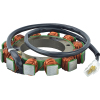 ARR Stator Coil