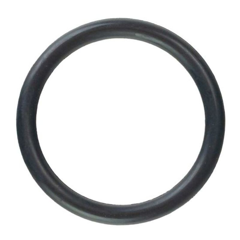 Moroso 1-3/8in 12 Thread Filler Cap O-Ring