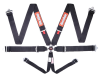 RaceQuip Black SFI CAMLOCK 6pt PD Lap Seat Belt thumbnail 3