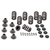 SSC Valve Springs