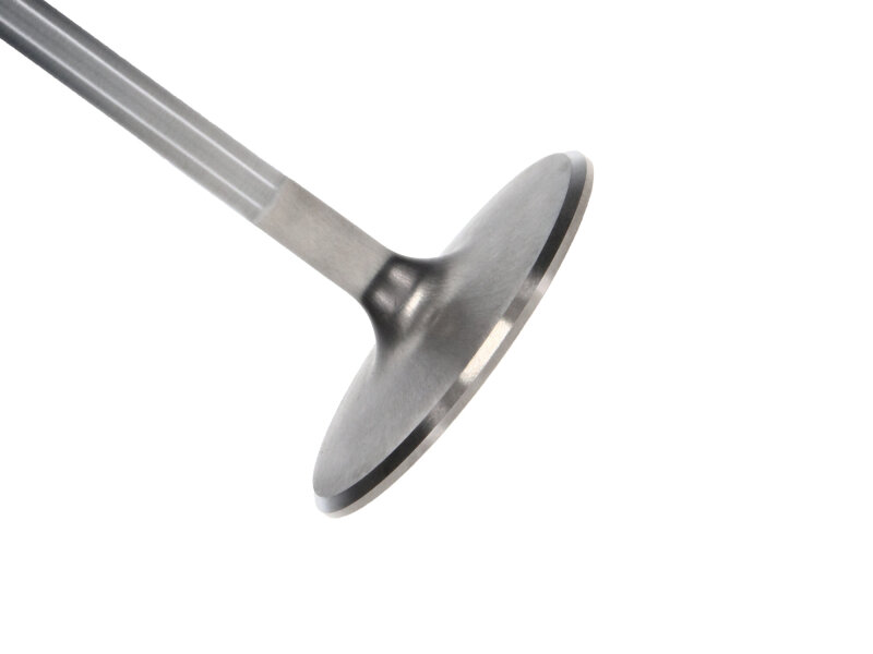 MAN Intake Valve Kits