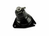 TS BOV - Kompact Plumb Back