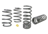 WL Performance Springs