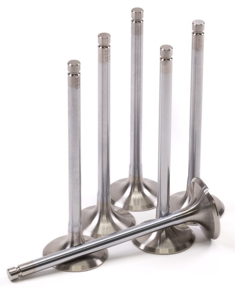 GSC Powersports Exhaust Valve Sets