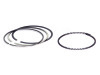 SPT Piston Rings