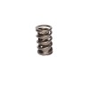 CCA Valve Springs