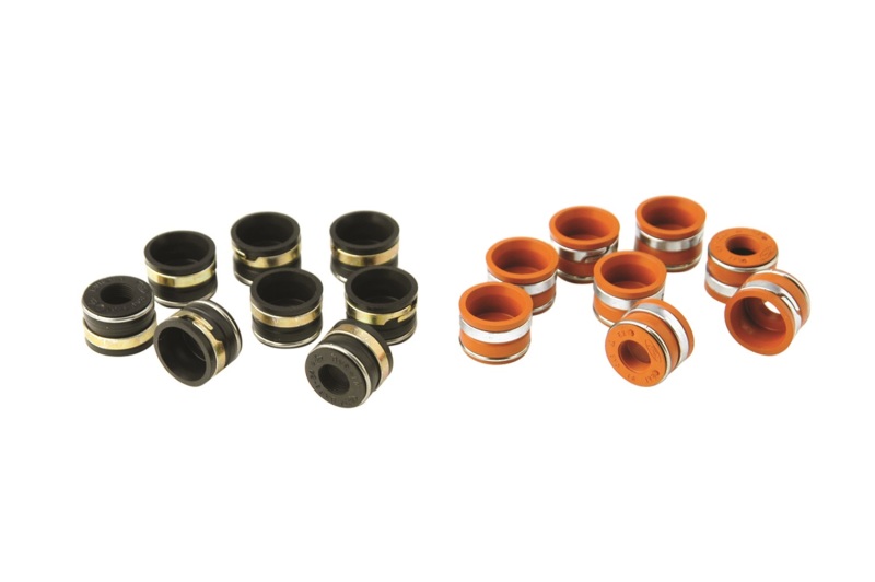 FR Valve Seal Kits