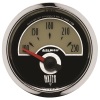 AM Cruiser AD Gauges