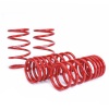SK Lowering Springs