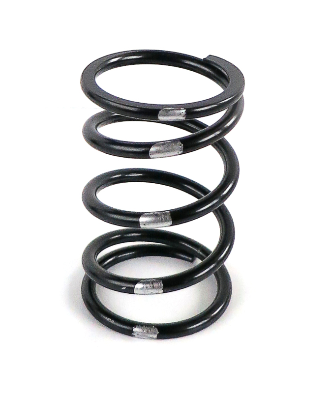 EPI Clutch Springs