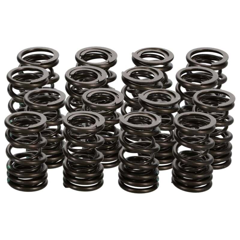 MAN Valve Spring Kits