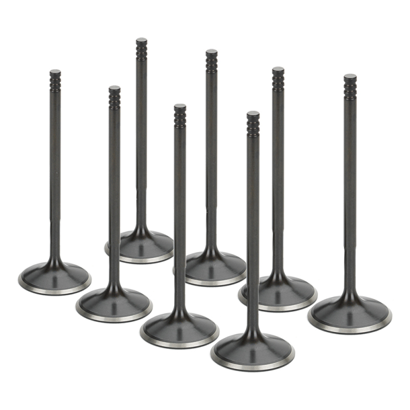 SPT Intake Valves
