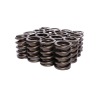 CCA Valve Spring Sets