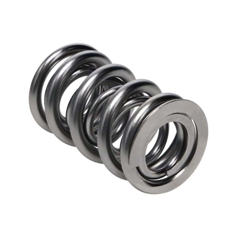 MAN Valve Springs