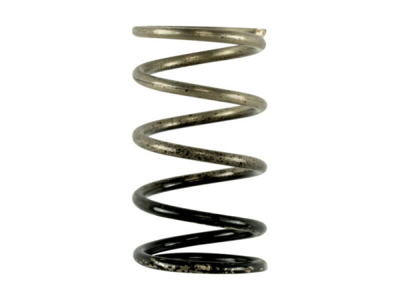 TS Wastegate Springs