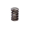 CCA Valve Springs