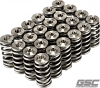 GSC Valve Spring Kits