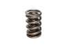 CCA Valve Springs