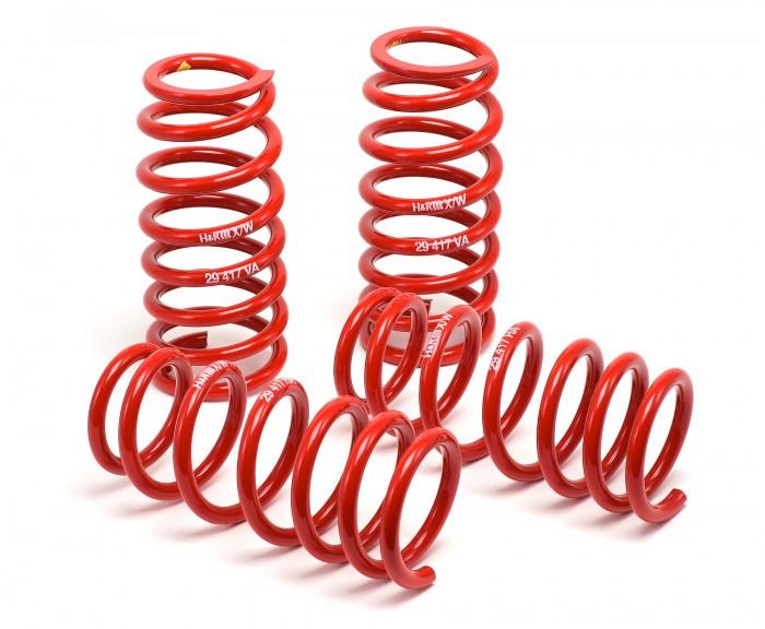 H&R 07-10 Ford GT500/GT500 Convertible V8 Race Spring