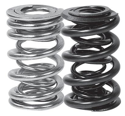MAN Valve Spring Kits