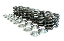 MAN Valve Spring Kits